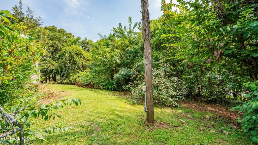 Photo of 2925 Mentor Rd, Louisville, TN 37777 (MLS # 1256184)