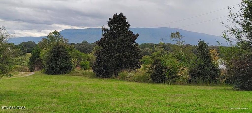 Photo of 150 Larry Lynch Rd, Delano, TN 37325 (MLS # 1331387)