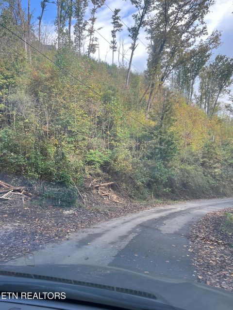 Tiny photo for 527 Deep Hollow Rd, Gatlinburg, TN 37738 (MLS # 1319429)