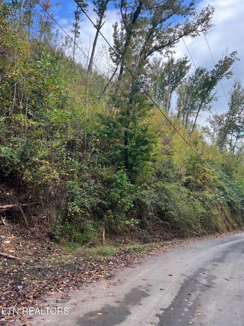 Tiny photo for 527 Deep Hollow Rd, Gatlinburg, TN 37738 (MLS # 1319429)