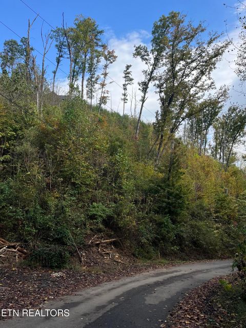 Photo of 527 Deep Hollow Rd, Gatlinburg, TN 37738 (MLS # 1319429)