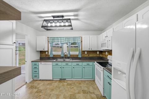 Tiny photo for 1336 Tom Breeden Rd, Jefferson City, TN 37760 (MLS # 1323860)