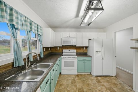 Tiny photo for 1336 Tom Breeden Rd, Jefferson City, TN 37760 (MLS # 1323860)