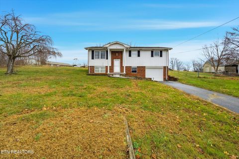 Photo of 1336 Tom Breeden Rd, Jefferson City, TN 37760 (MLS # 1323860)