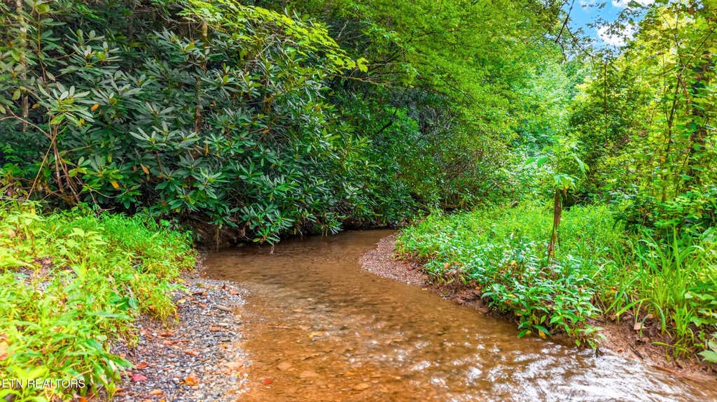 Photo of Chavis Rd, Cosby, TN 37722 (MLS # 1352785)