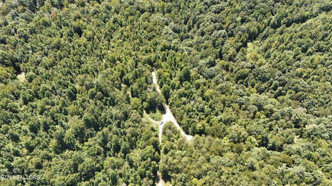 Tiny photo for 0 Brimstone Creek, Robbins, TN 37852 (MLS # 1353089)