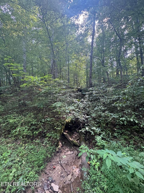 Tiny photo for 0 Brimstone Creek, Robbins, TN 37852 (MLS # 1353089)