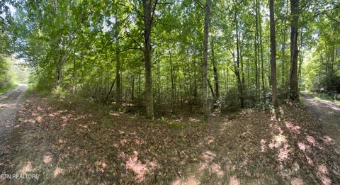 Tiny photo for 0 Brimstone Creek, Robbins, TN 37852 (MLS # 1353089)