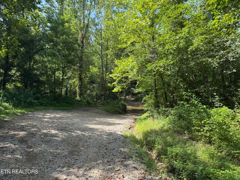 Tiny photo for 0 Brimstone Creek, Robbins, TN 37852 (MLS # 1353089)