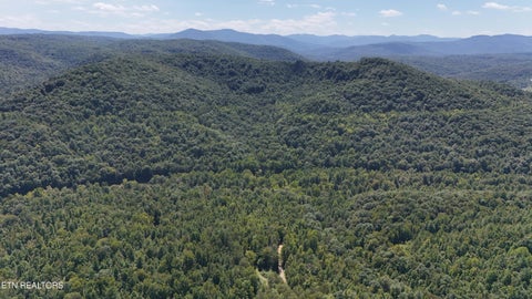 Tiny photo for 0 Brimstone Creek, Robbins, TN 37852 (MLS # 1353089)