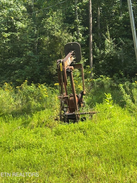 Tiny photo for 0 Brimstone Creek, Robbins, TN 37852 (MLS # 1353089)