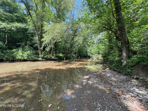 Tiny photo for 0 Brimstone Creek, Robbins, TN 37852 (MLS # 1353089)