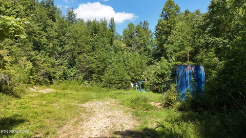 Tiny photo for 0 Brimstone Creek, Robbins, TN 37852 (MLS # 1353089)