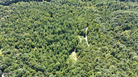 Tiny photo for 0 Brimstone Creek, Robbins, TN 37852 (MLS # 1353089)