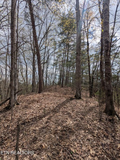 Tiny photo for 342 Big Springs Lane, Jacksboro, TN 37757 (MLS # 1335476)