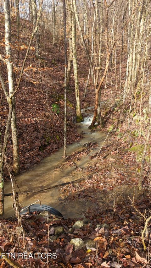 Tiny photo for 342 Big Springs Lane, Jacksboro, TN 37757 (MLS # 1335476)