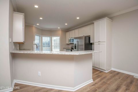 Tiny photo for 155 Waters Edge Drive, Spring City, TN 37381 (MLS # 1331006)