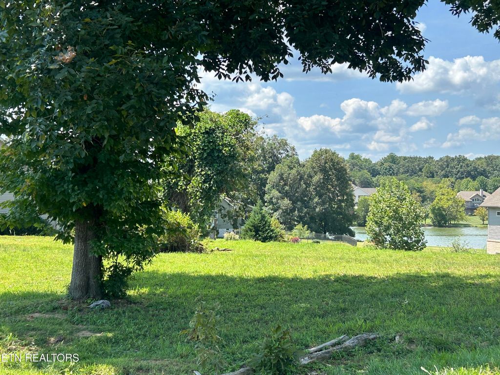 Photo of 180 Hiwonihi Tr, Vonore, TN 37885 (MLS # 1272879)