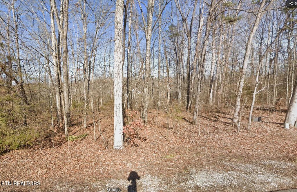 Photo of 117 Chanusi Way, Loudon, TN 37774 (MLS # 1301978)