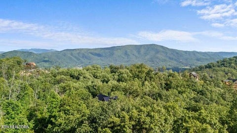 Tiny photo for Spurling Road lot 47 Rd, Sevierville, TN 37862 (MLS # 1359452)