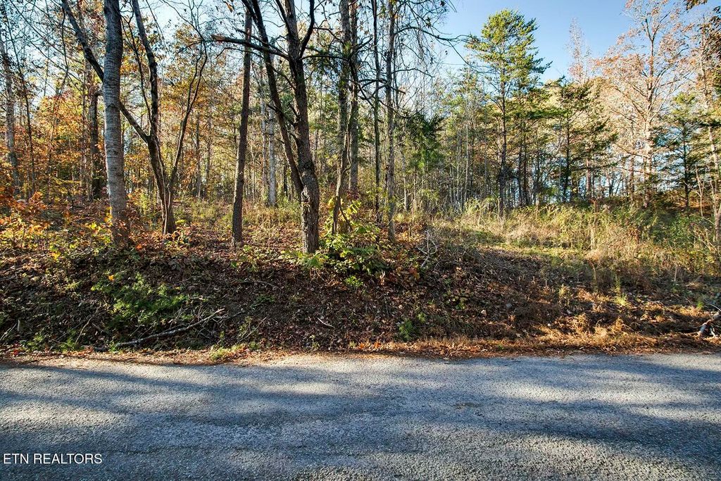 Photo of Lots 3-5 Morrison Road, Decatur, TN 37322 (MLS # 1283417)