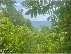 Photo of Hatfield Creek Rd, Newcomb, TN 37819 (MLS # 1357086)
