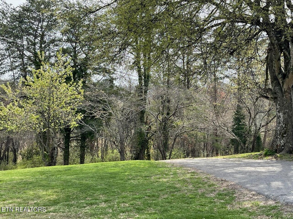 Photo of 780 Kemmer Rd, Spring City, TN 37381 (MLS # 1256827)