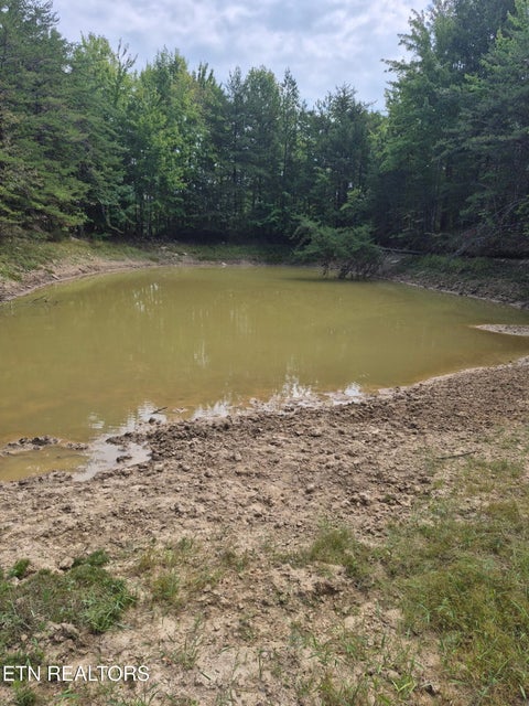 Tiny photo for Ozone Access Rd, Rockwood, TN 37854 (MLS # 1356530)