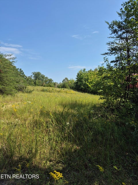 Tiny photo for Ozone Access Rd, Rockwood, TN 37854 (MLS # 1356530)