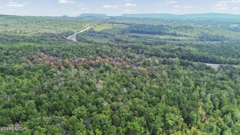 Tiny photo for Ozone Access Rd, Rockwood, TN 37854 (MLS # 1356530)