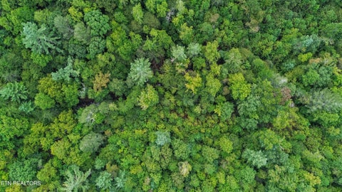 Tiny photo for Ozone Access Rd, Rockwood, TN 37854 (MLS # 1356530)