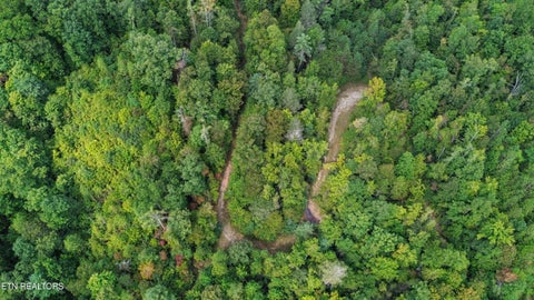 Tiny photo for Ozone Access Rd, Rockwood, TN 37854 (MLS # 1356530)
