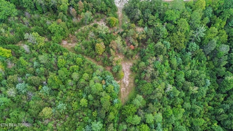 Tiny photo for Ozone Access Rd, Rockwood, TN 37854 (MLS # 1356530)