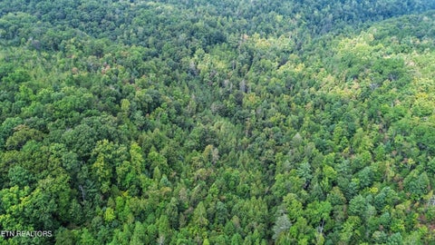 Tiny photo for Ozone Access Rd, Rockwood, TN 37854 (MLS # 1356530)