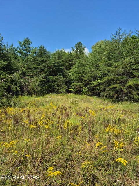 Tiny photo for Ozone Access Rd, Rockwood, TN 37854 (MLS # 1356530)