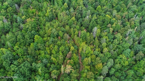 Tiny photo for Ozone Access Rd, Rockwood, TN 37854 (MLS # 1356530)