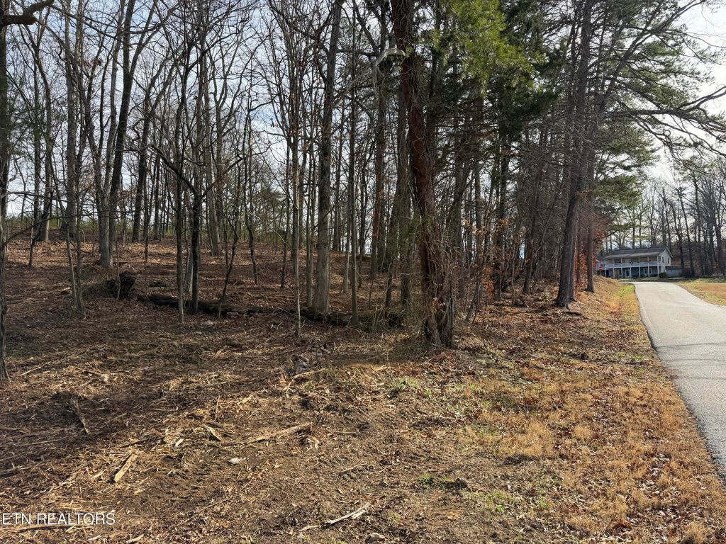 Photo of 3224 Davis Ferry Rd, Loudon, TN 37774 (MLS # 1336139)