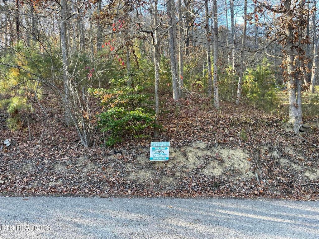 Photo of 0 Holiday Lane, Jellico, TN 37762 (MLS # 1321690)