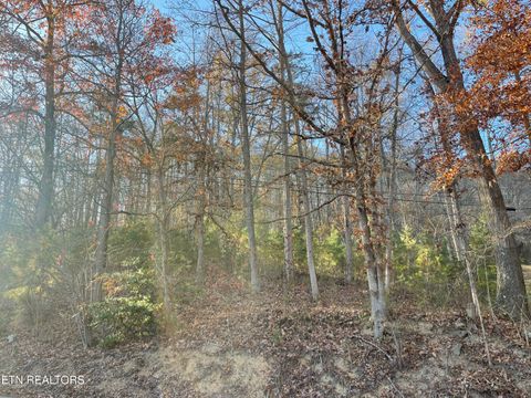 0 Holiday Lane Jellico TN 37762