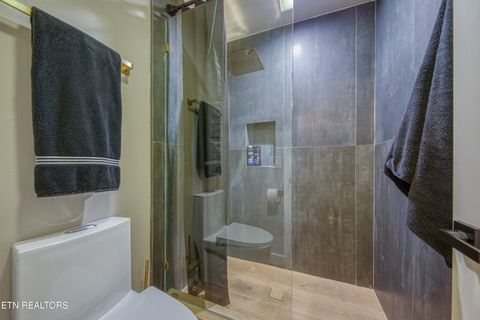 Tiny photo for 333 Enchanted Forest Lane, Sevierville, TN 37876 (MLS # 1322964)