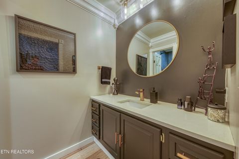 Tiny photo for 333 Enchanted Forest Lane, Sevierville, TN 37876 (MLS # 1322964)