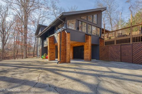 Photo of 333 Enchanted Forest Lane, Sevierville, TN 37876 (MLS # 1322964)