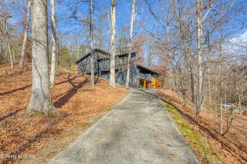 Tiny photo for 333 Enchanted Forest Lane, Sevierville, TN 37876 (MLS # 1322964)