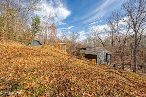 Tiny photo for 333 Enchanted Forest Lane, Sevierville, TN 37876 (MLS # 1322964)