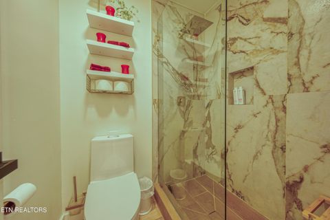 Tiny photo for 333 Enchanted Forest Lane, Sevierville, TN 37876 (MLS # 1322964)