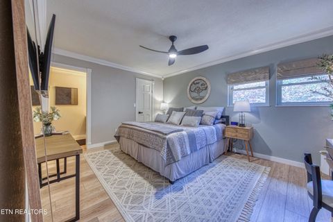 Tiny photo for 333 Enchanted Forest Lane, Sevierville, TN 37876 (MLS # 1322964)