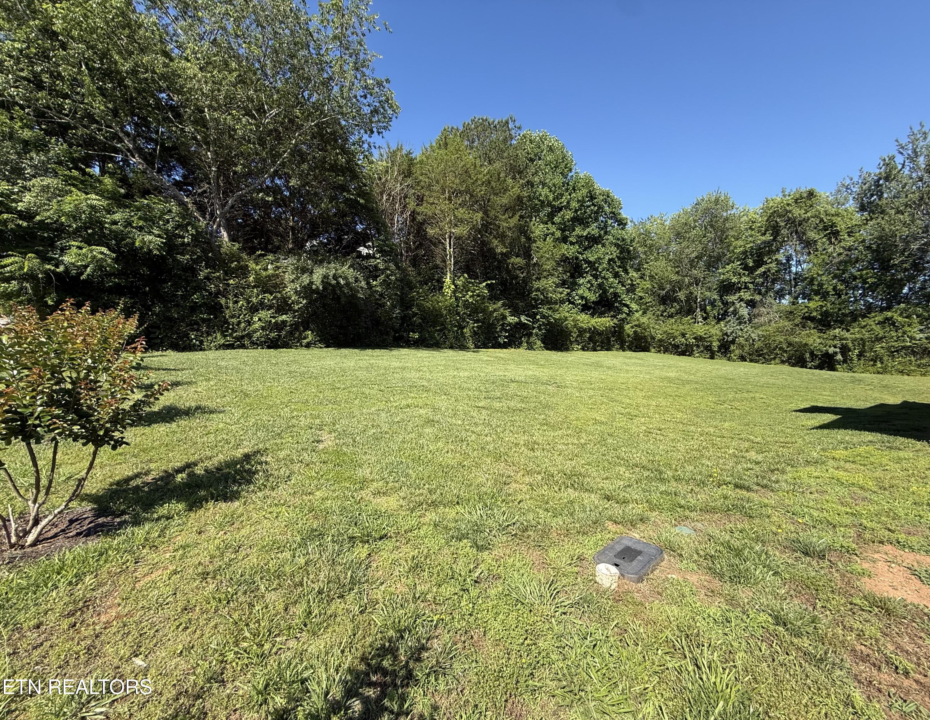 208 Mingo Way