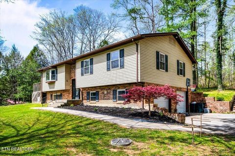 Photo of 384 Hc Smith Drive, Oneida, TN 37841 (MLS # 1335939)