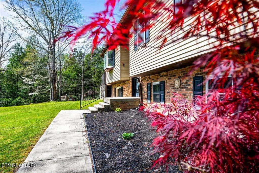 Photo of 384 Hc Smith Drive, Oneida, TN 37841 (MLS # 1335939)