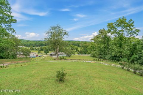 Tiny photo for 598 Abels Valley Rd, Rockwood, TN 37854 (MLS # 1349623)